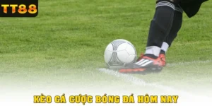 Kèo Cá Cược Bóng Đá Hôm Nay TT88: Dễ Đọc, Tỷ Lệ Cực Tốt